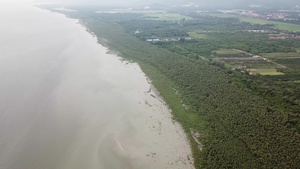 空中无人驾驶飞机在海边看到红树林13秒视频