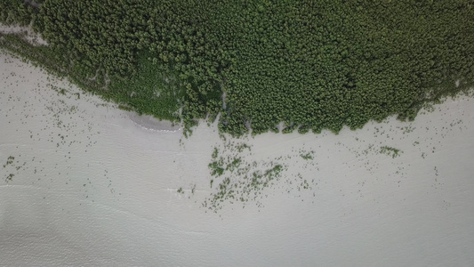 带红树的空中海岸视频