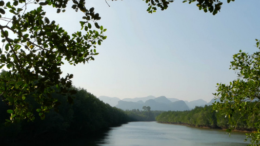 红树林与山对山的河流日落风景视频