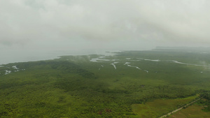 红树林和河流17秒视频