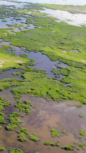 玛依湖航拍克拉玛依23秒视频