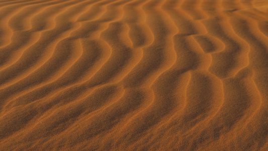 沙漠中的红色沙沙视频