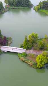 上海4A风景区朱家角大淀湖湖中道路航拍合集朱家角古镇视频