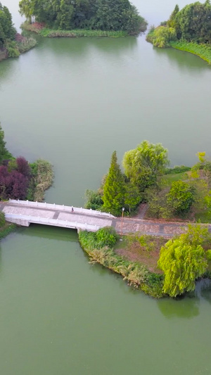 上海4A风景区朱家角大淀湖湖中道路航拍合集朱家角古镇162秒视频