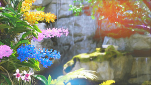 模糊的瀑布和彩色的花朵33秒视频