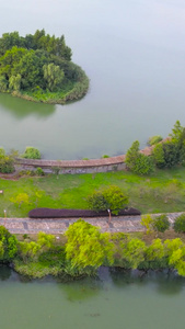 上海4A风景区朱家角大淀湖湖中道路航拍合集朱家角古镇视频