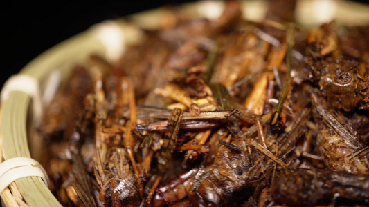 【镜头合集】食用昆虫油炸蚂蚱蝗虫干炸蝗虫宠物饲料视频