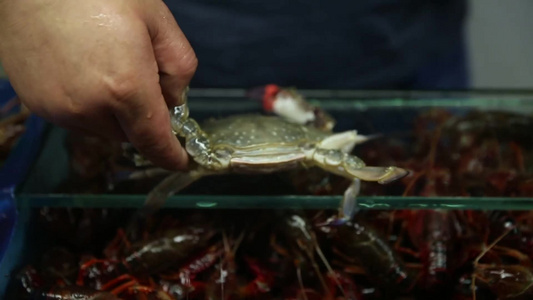 海鲜市场卖飞蟹梭子蟹视频