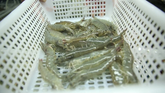 海鲜市场卖飞蟹梭子蟹视频