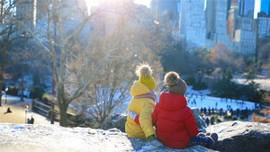 可爱的小女孩看着纽约市中央公园著名的溜冰场17秒视频