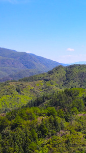 4A风景区丽水东西岩山脉自然森林航拍合集视频