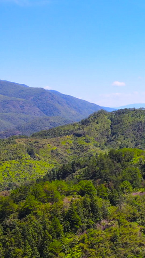 4A风景区丽水东西岩山脉自然森林航拍合集76秒视频