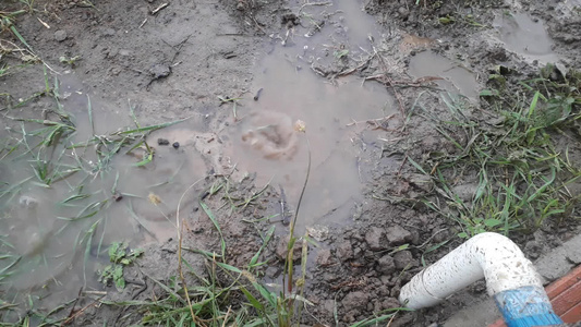 雨水从排水沟滴落到地上视频