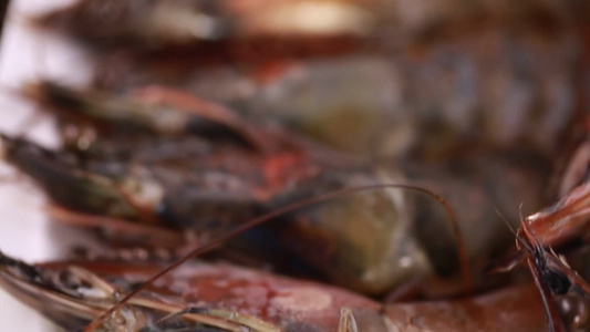 黑虎虾对虾海虾视频