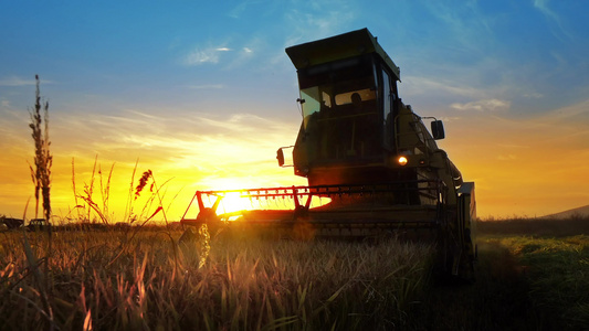 日落时收割小麦作物的农业和收割者视频
