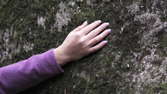 女人在森林里用苔藓双手抱住大石头女人是带电的自然能量视频