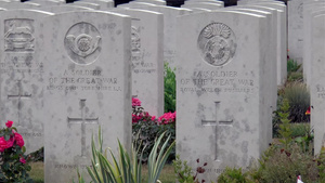 佛朗西娅州加拿大国家维米纪念馆的公墓6秒视频