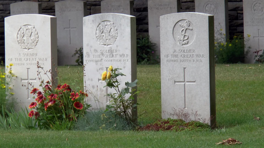 佛朗西娅州加拿大国家维米纪念馆的公墓视频
