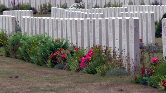 佛朗西娅州加拿大国家维米纪念馆的公墓视频