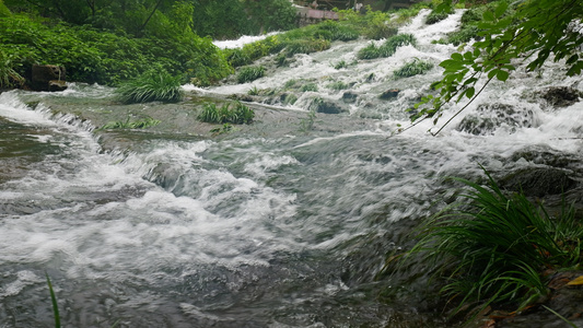 4K山泉泉水溪流溪水水源 视频