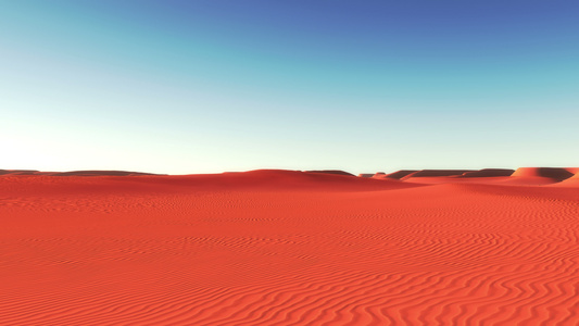 沙漠中的绿洲4k视频