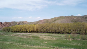 在草原峡谷中的一小片绿洲12秒视频