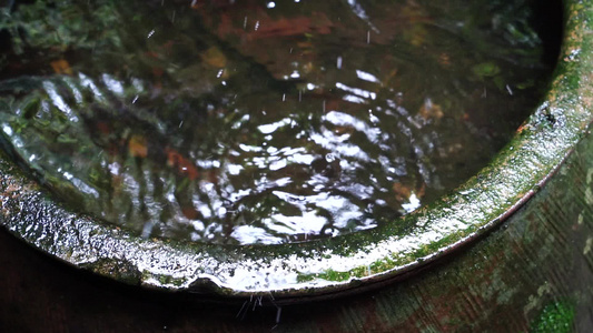 唯美水滴 屋檐滴水 升格下雨视频