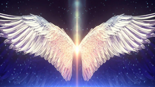 唯美翅膀视频模板 唯美翅膀ae视频下载 摄图网