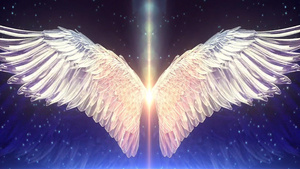 透明梦幻白色翅膀背景视频8秒视频