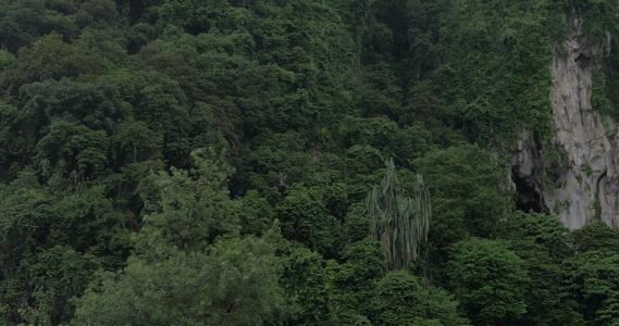 在巴图洞穴看到绿色的山丘和木鲁干雕像视频