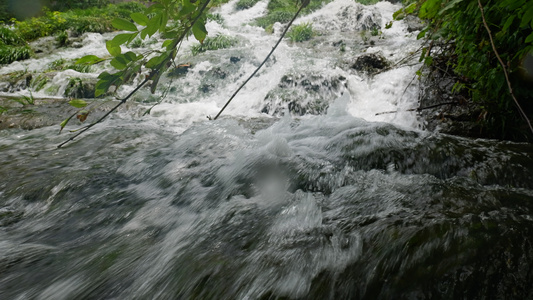 4K山泉泉水溪流溪水水源 视频