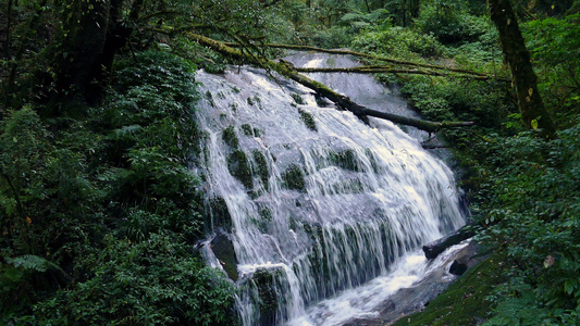 热带雨林的连连瀑布瀑布视频