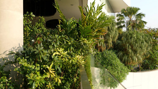 绿色环保理念的商场设计露台上的露天空中花园未来的生态视频