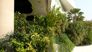 绿色环保理念的商场设计露台上的露天空中花园未来的生态6秒视频