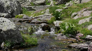绿色比利牛山脉中的小型瀑布级联慢动34秒视频