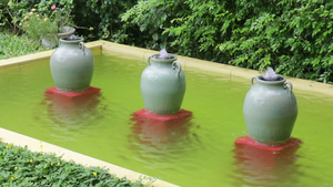 在户外花园装饰的填满陶瓷的水罐10秒视频