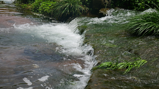 4K山泉泉水溪流溪水水源 视频