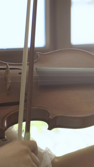 艺术音乐演奏拉小提琴音乐教育14秒视频