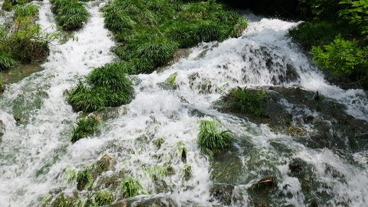 4K山泉泉水溪流溪水水源 视频