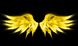 金色翅膀透明通道背景视频30秒视频