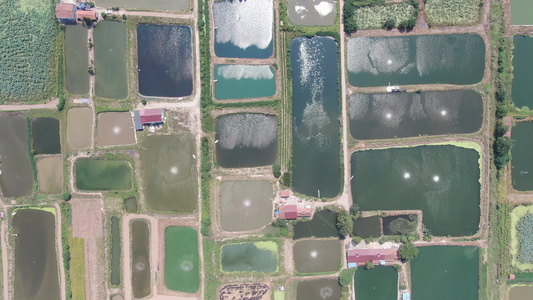 农业养殖基地鱼塘航拍视频视频