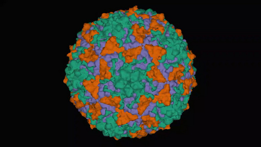 病毒高分辨率晶体结构视频