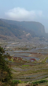 红河哈尼元阳梯田老鹰嘴景区视频世界文化遗产视频