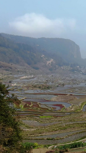 红河哈尼元阳梯田老鹰嘴景区视频世界文化遗产88秒视频