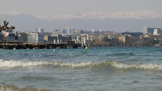 海边海浪海鸥海边风光视频