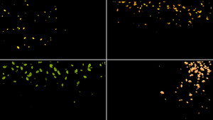 一组银杏叶粒子动画11秒视频