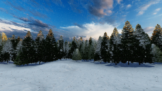 在一个美丽的日子里在松树上下雪视频