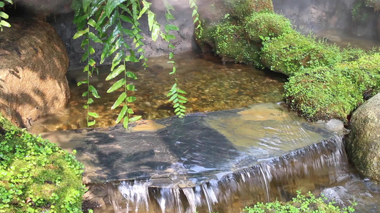 放松的热带花园中的瀑布视频