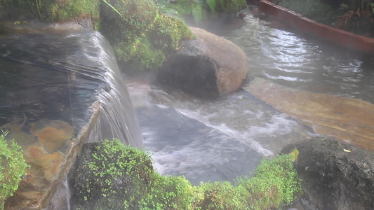 放松的热带花园中的瀑布视频