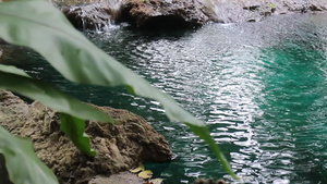 热带绿园里的小溪6秒视频